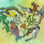 Coeur d'Oiseaux Greeting Card