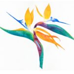 Bird of Paradise Blank 5x7" Greeting Card