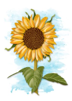 7x5 Greeting Card - Sunflower, by Heather T.