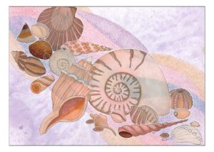 Seashells