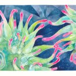 Anemones Greeting Card