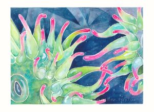 Anemones Greeting Card