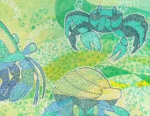 Crabs & Shells - Image 2